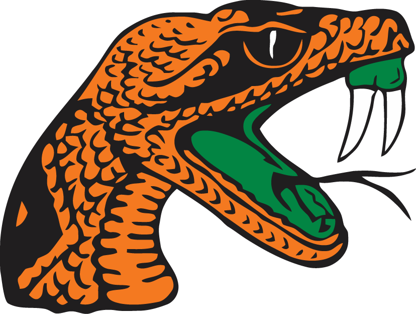 Florida A&M Rattlers 2001-Pres Secondary Logo iron on transfers for fabric